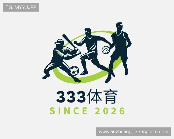 了解333体育